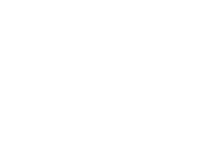Bragaalves